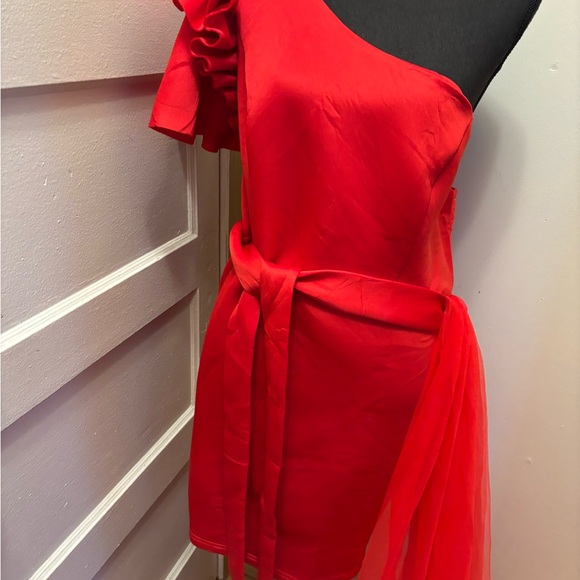 Red One-Shoulder Ruffle Dress - Picture 6 of 7